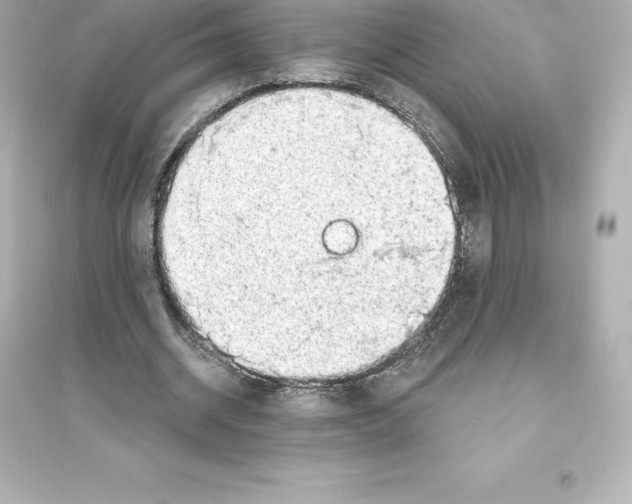 X0000093620534200711121238