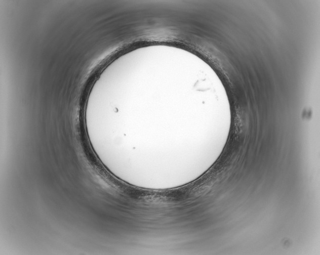 X0000093620535200711121238