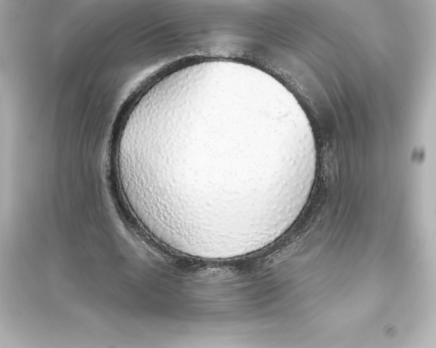 X0000093620536200711121238