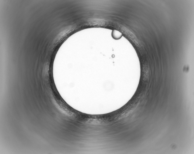 X0000093620538200711121238