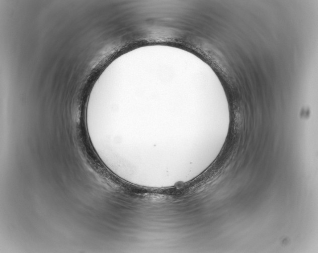 X0000093620539200711121238