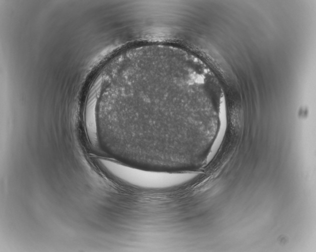 X0000093620540200711121238