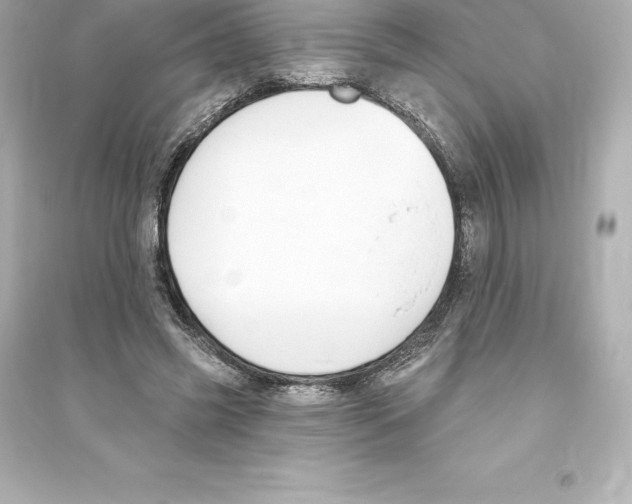 X0000093620541200711121238