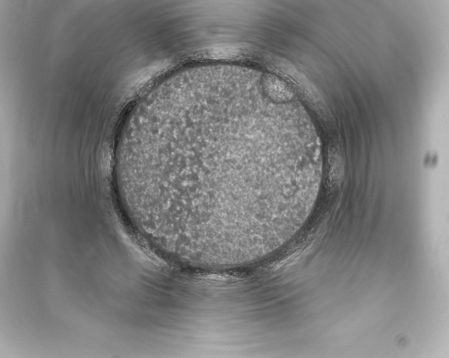 X0000093620542200711121238