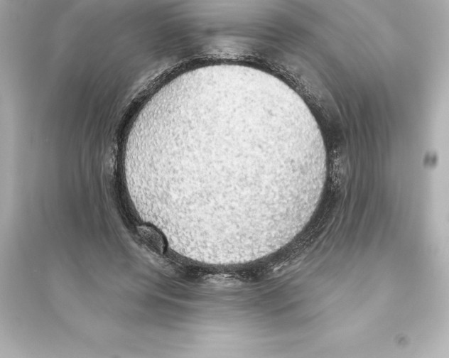 X0000093620544200711121238