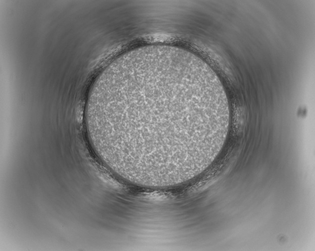 X0000093620545200711121238