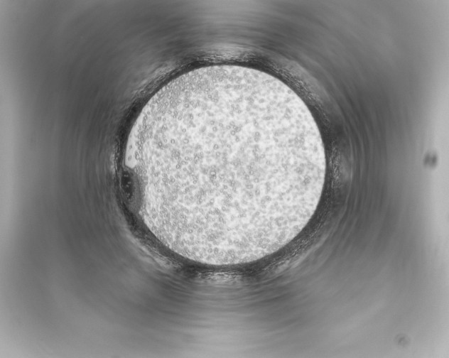 X0000093620546200711121238