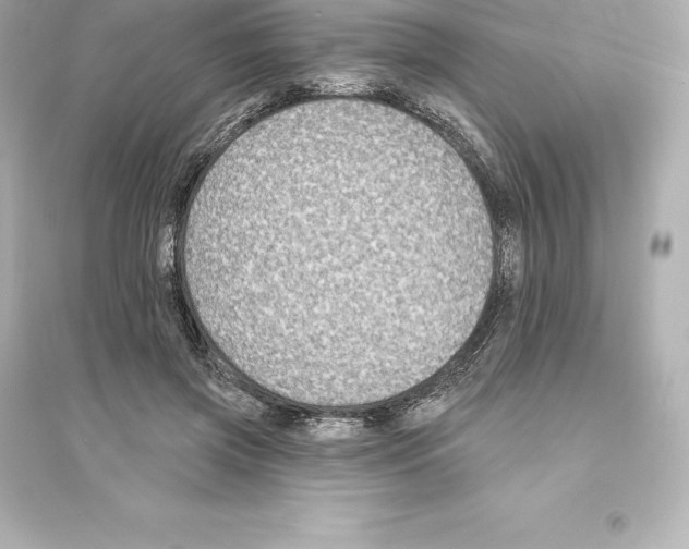 X0000093620549200711121238