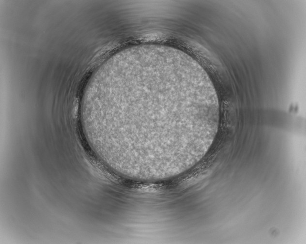 X0000093620550200711121238