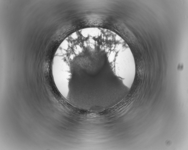 X0000093620551200711121238