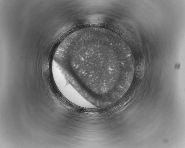 X0000093620552200711121238