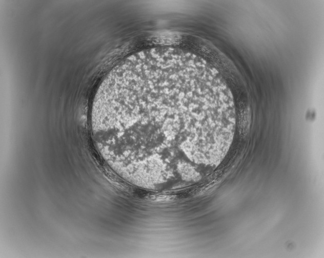 X0000093620553200711121238