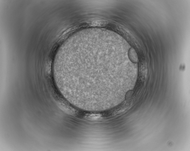 X0000093620554200711121238