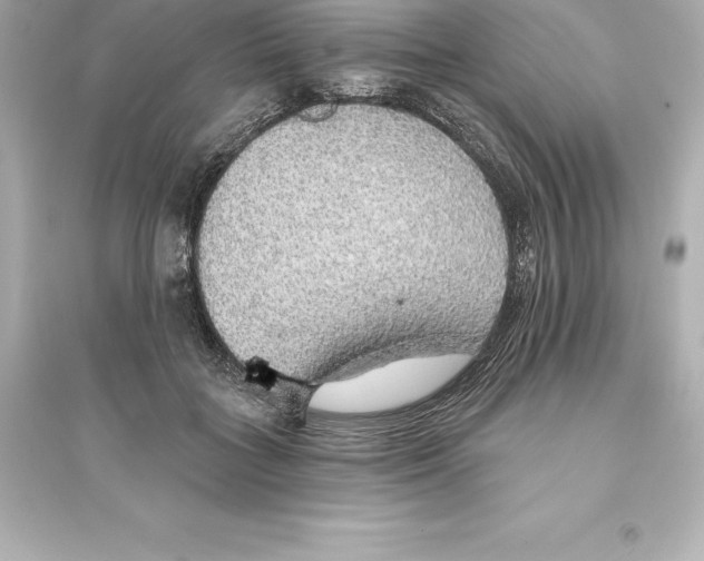 X0000093620555200711121238