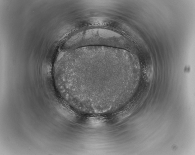 X0000093620556200711121238