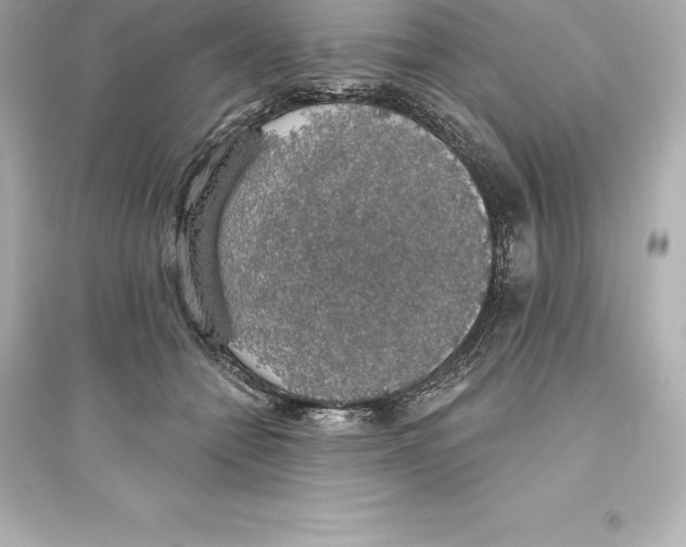 X0000093620558200711121238