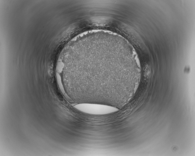 X0000093620559200711121238