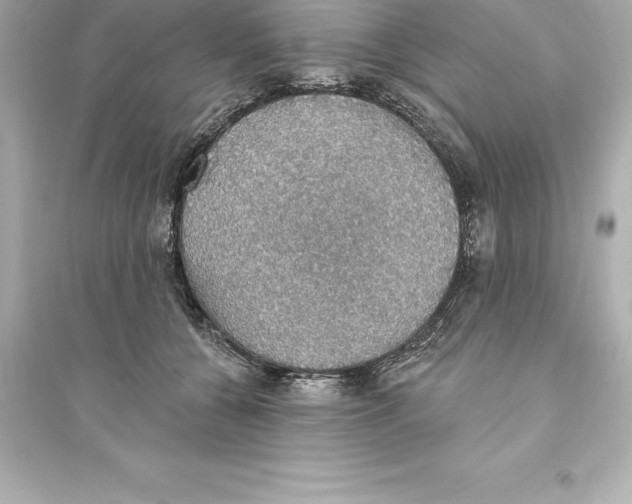 X0000093620560200711121238