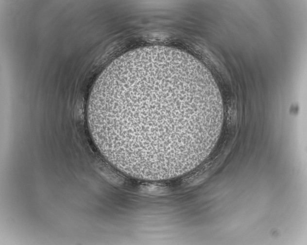 X0000093620561200711121238