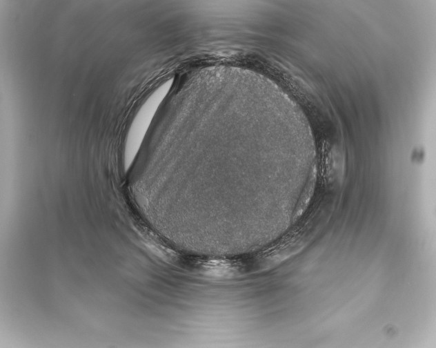 X0000093620562200711121238