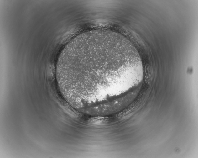 X0000093620563200711121238