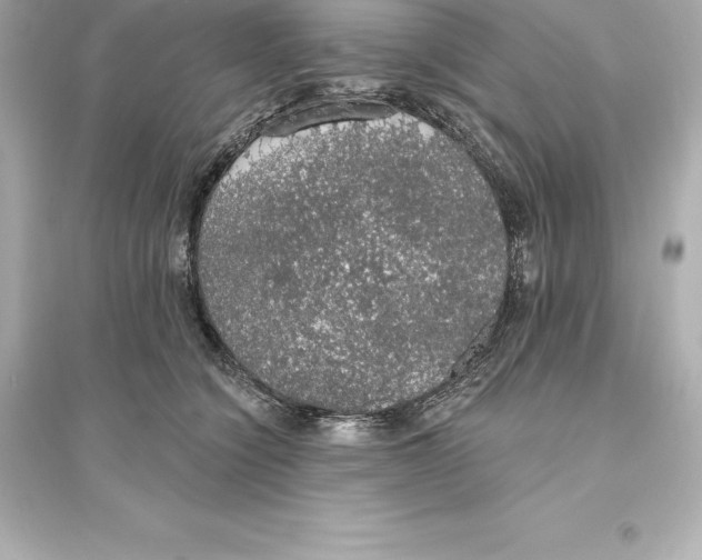 X0000093620564200711121238