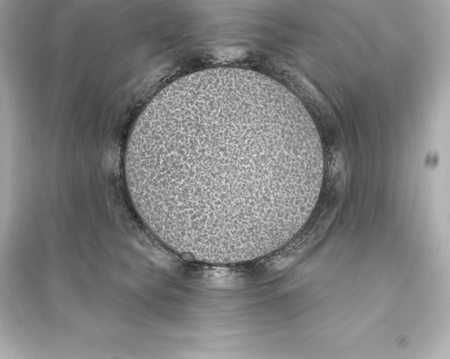 X0000093620565200711121238