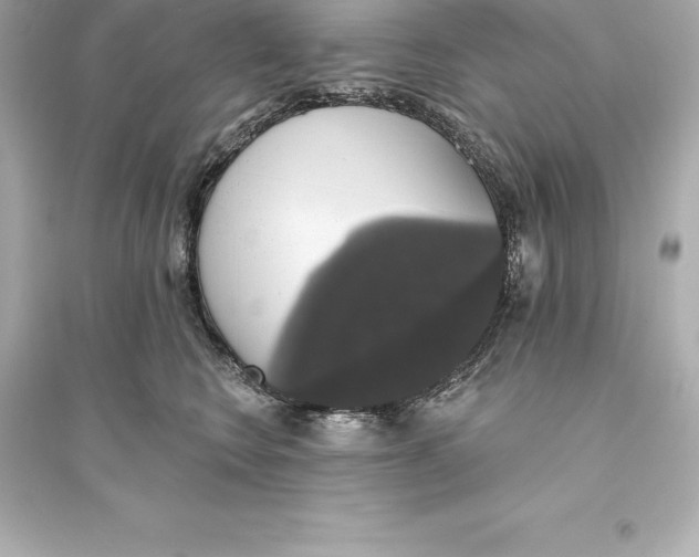 X0000093620566200711121238