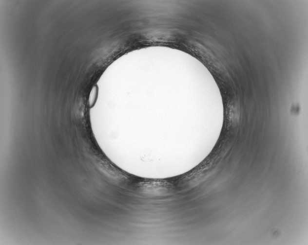 X0000093620567200711121238