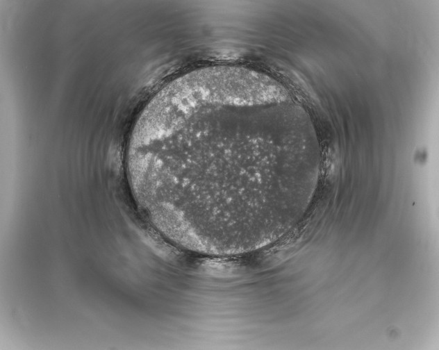 X0000093620568200711121238