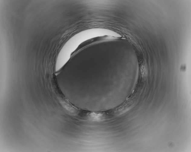 X0000093620570200711121238