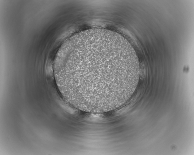 X0000093620573200711121238