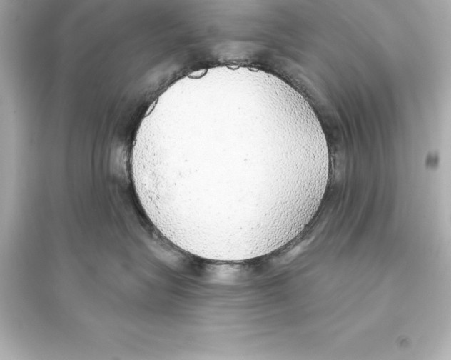 X0000093620575200711121238