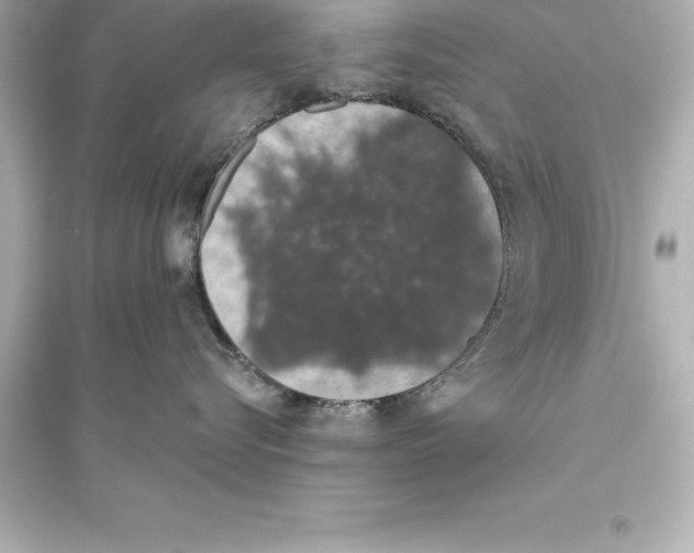 X0000093620576200711121238