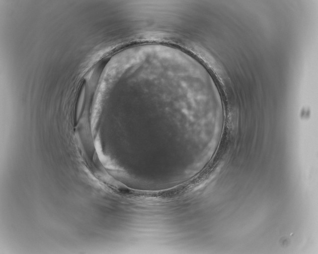 X0000093620577200711121238