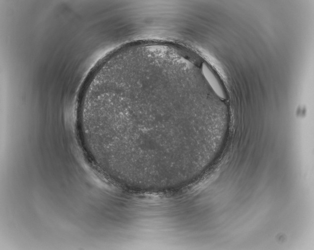 X0000093620580200711121238