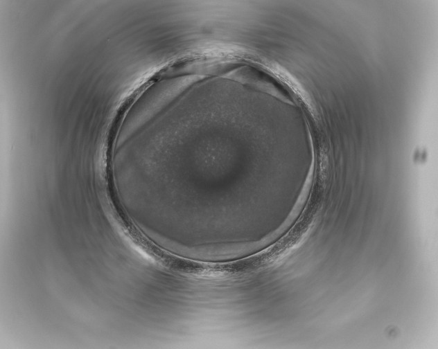 X0000093620581200711121238