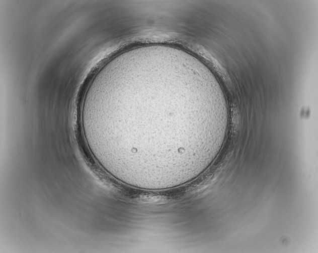 X0000093620582200711121238