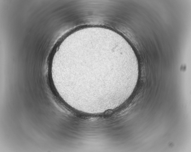 X0000093620584200711121238