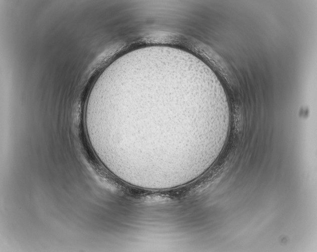 X0000093620586200711121237