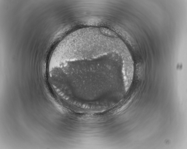 X0000093620589200711121237