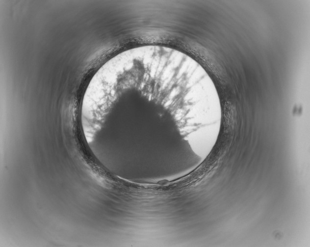 X0000093620590200711121237