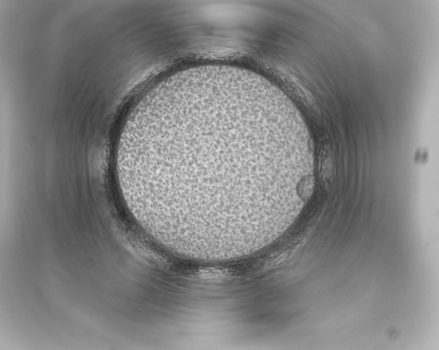 X0000093620591200711121237