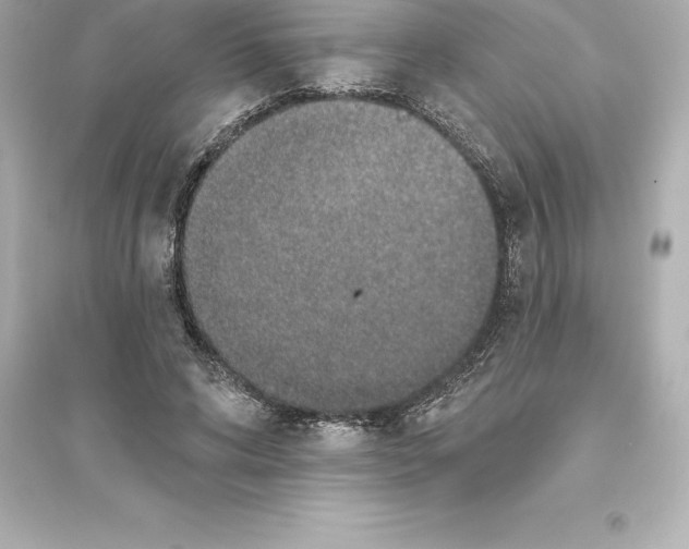 X0000093620592200711121237