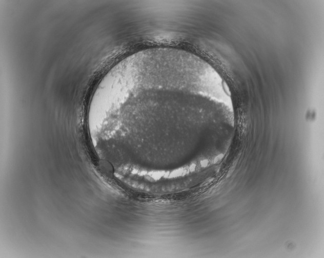 X0000093620593200711121237