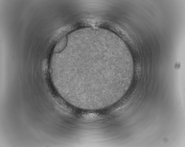 X0000093620594200711121237