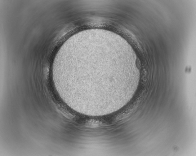 X0000093620596200711121237