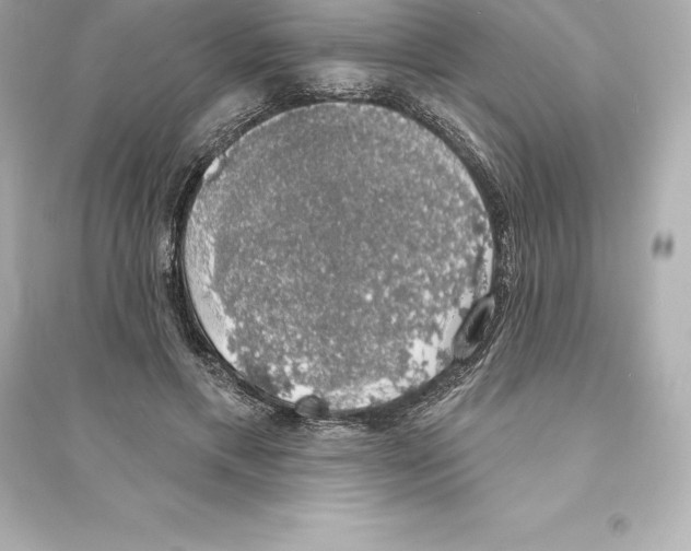 X0000093620597200711121237