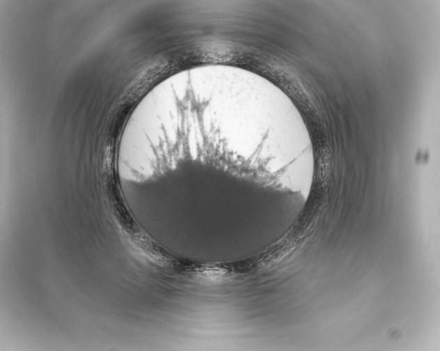 X0000093620598200711121237