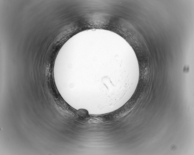 X0000093620599200711121237